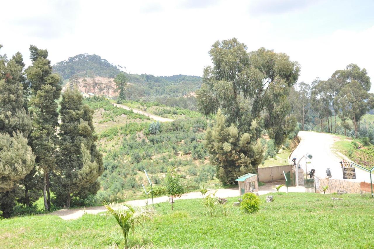 Nyungwe Nziza Ecolodge Kitabi Экстерьер фото